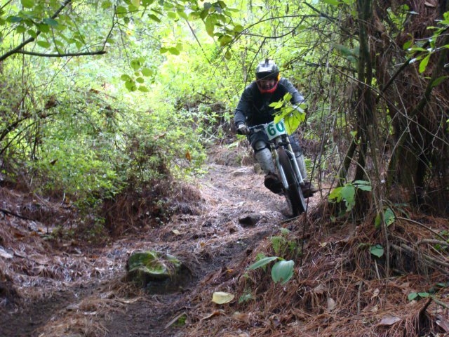 Down Hill